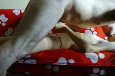 Live ABG Bispak Jakarta Hotel Bintang Lima